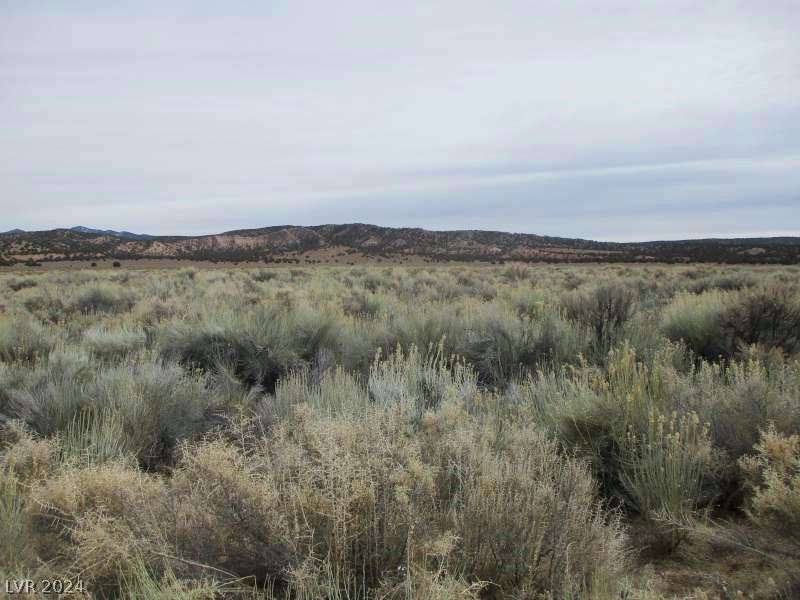 EAGLE VALLEY RD (33.89 AC), PIOCHE, NV 89043, photo 1 of 15